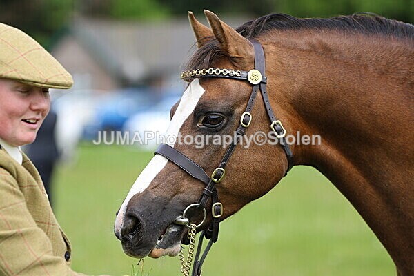 SIAL3834 - Ring 3 and 4