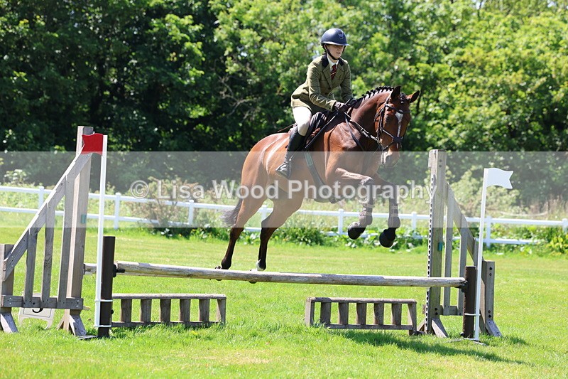 3E7A7084 - Class 30: Novice Working Hunter