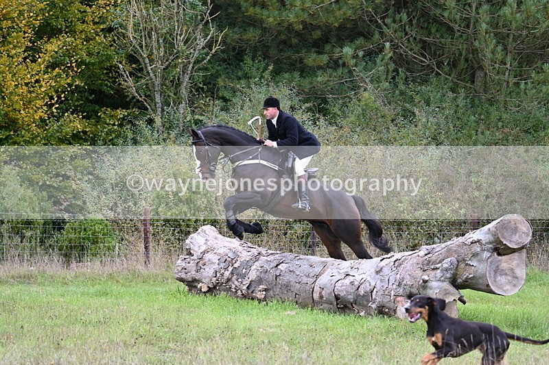 WJ7_3593 - Camera 1 Line 1