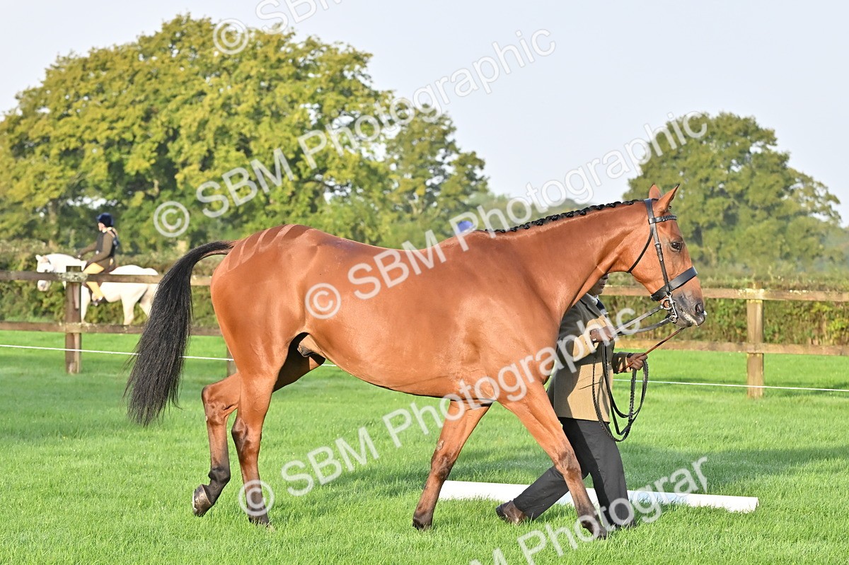 SBM_32544 - S15 - Top Turnout In Hand