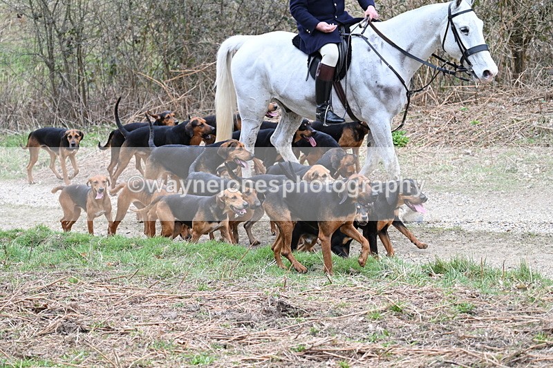 WJ7_7339 - Walk Home