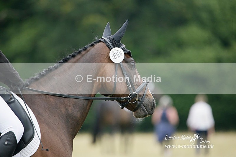 BVRC 030721 219 - Bourne Valley Riding Club Dressage 03/07/21