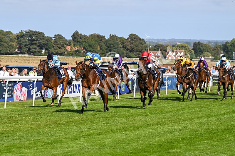 180924-Race 5-Blue Zodiac-4786 - Race 5