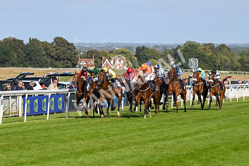 180924-Race 6-Elegant Erin-5006 - Race 6