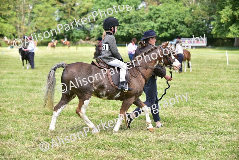 20260614-1401 - Class 11b - Lead Rein Pony (Plaited)