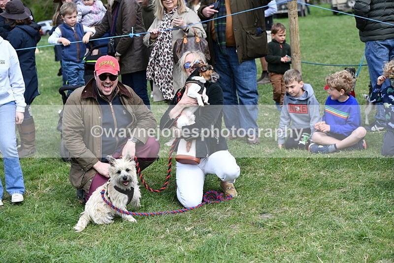 WJ5_0537 - Class 7 Best Terrier