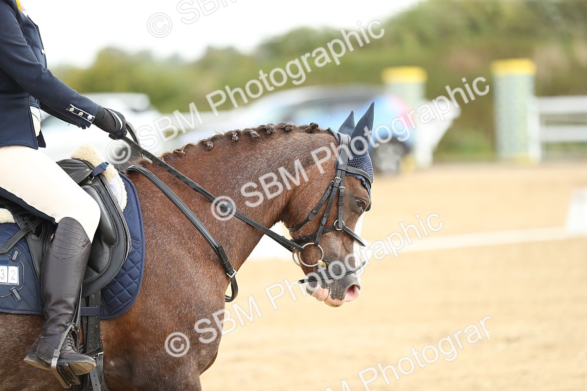 SBM_016298 - Class 13 - Novice 23 - 11.25-12.35