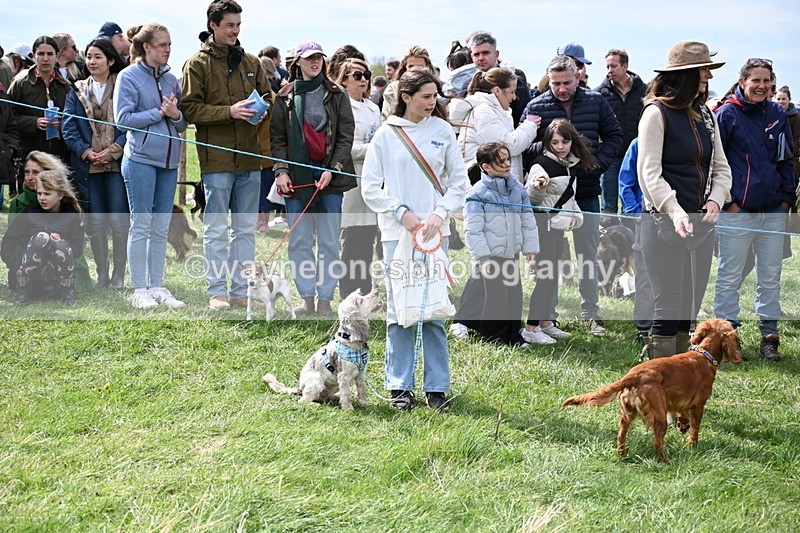 WJ6_8376 - Class 4 Prettiest Bitch