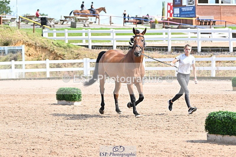 240717A-155337-03148 - Trot Up 3pm to 4pm