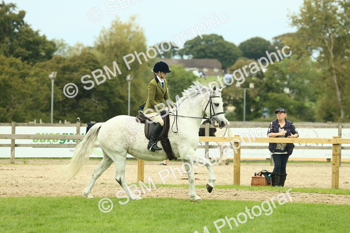 SBM_72044 - S60 - Mountain & Moorland Ridden Large Breeds