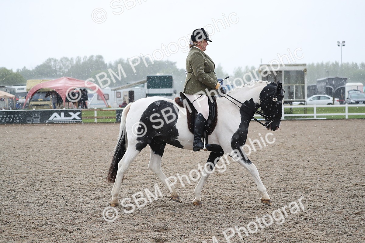 SBM_20493 - Class 601 - 2025 Area - Ridden Diamond