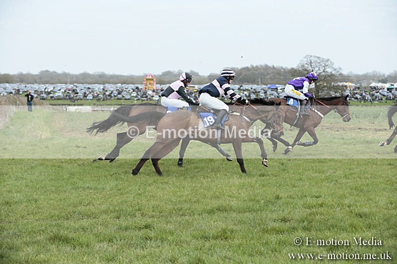 PtP 230319 198 - VWH Hunt Siddington Point-to-Point Racing 23/03/19