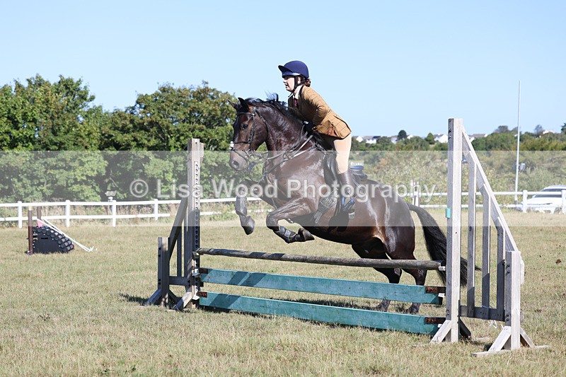 3E7A5479 - Class 3: Working Hunter 70cm