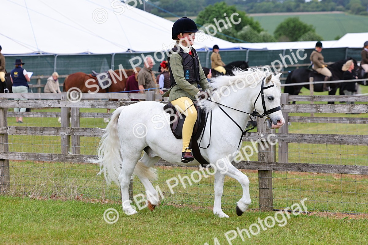SBM_08522 - Class 42-43 - LIHS BSPS Heritage Working Sports Pony