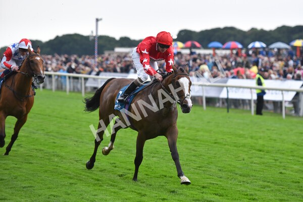 yr22072022r6-22 - Race 6 7.50pm Gallop Racing Stakes