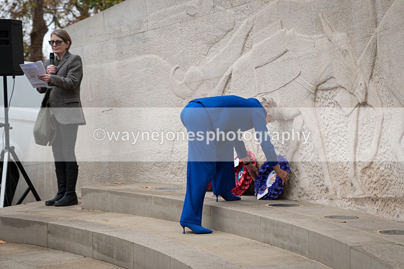 Z62_4599 - Animals In War Memorial 2025 - Park Lane, London