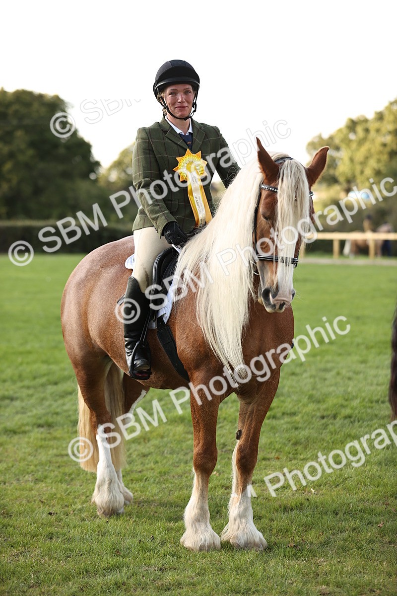 SBM_26483 - S6 - Novice & Newcomers Ridden Horse