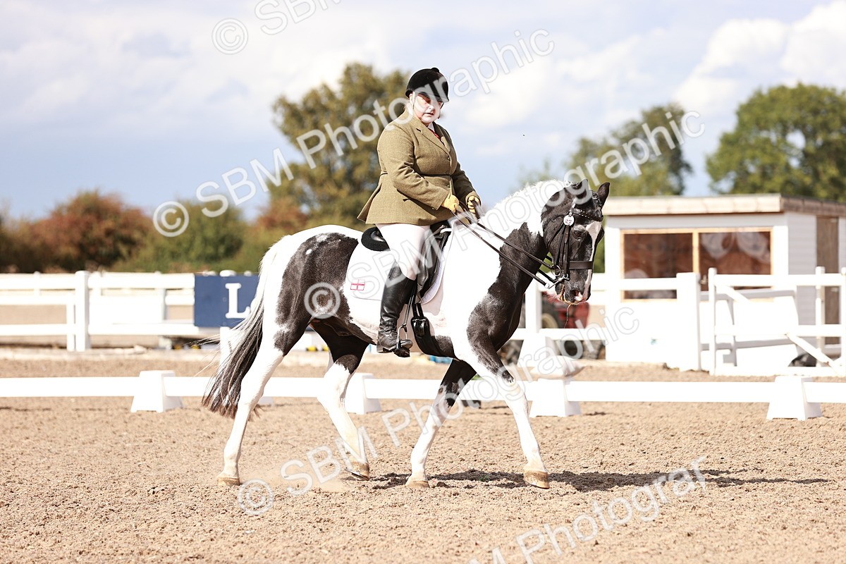 SBM_06594 - Class 39 - Medium 3