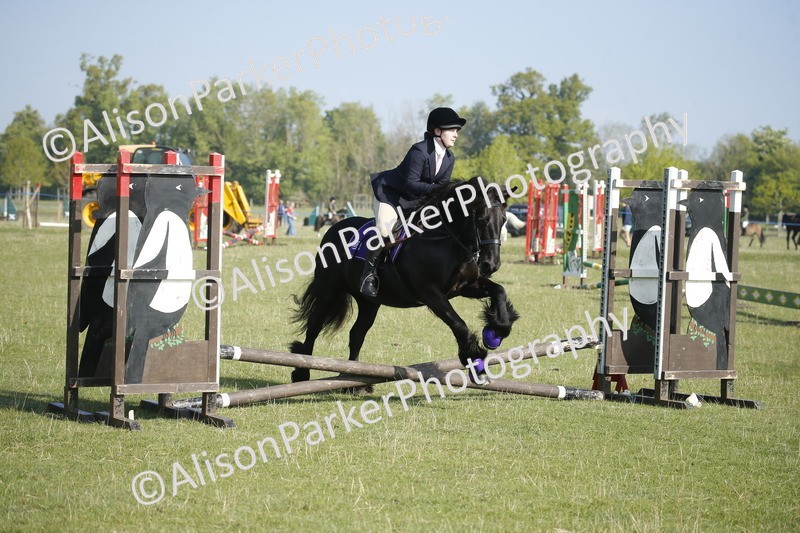 20250427-0221 - Class 12 - Rookie Jumping 40cm