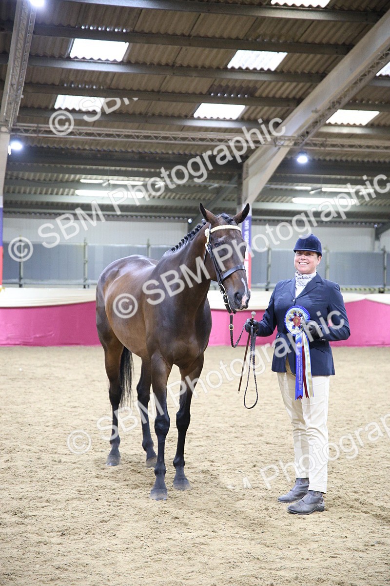 SBM_18839 - Class E IH Horse Champ