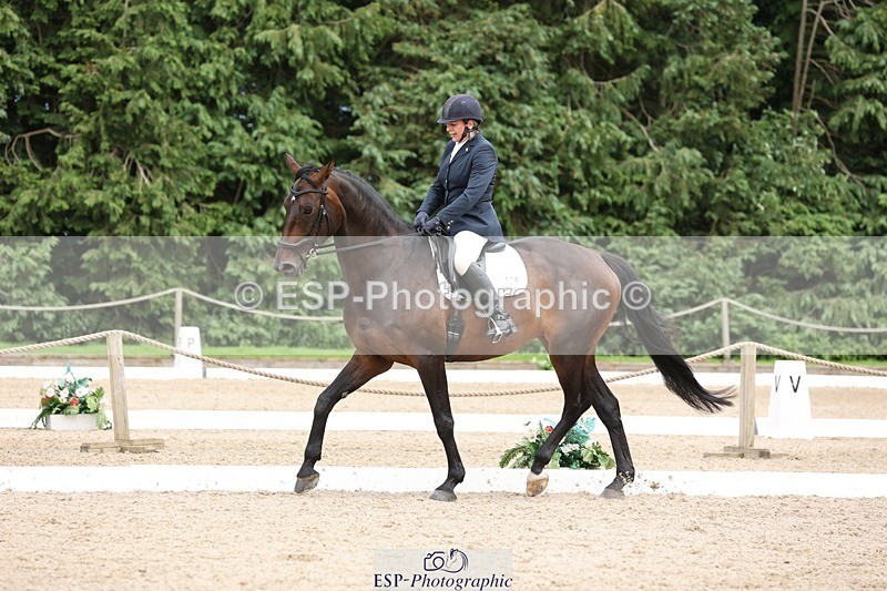 240721-153515-09770 - 135-Anne_Shrubshall-Hfradin