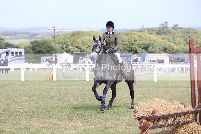 JPP_2592 - Class 20: Working Hunter 70cm