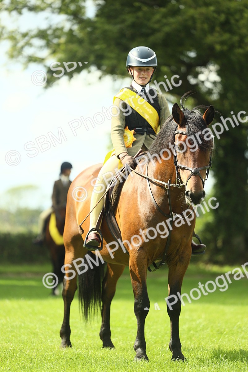 SBM_44960 - Working Hunter Pony Supreme Championship