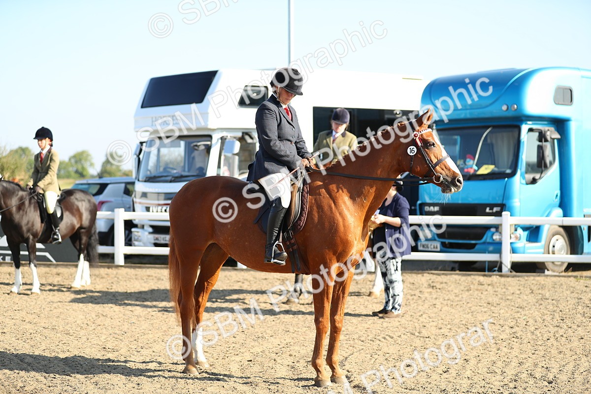 SBM_00442 - Class 41 Best Turned Out Ridden