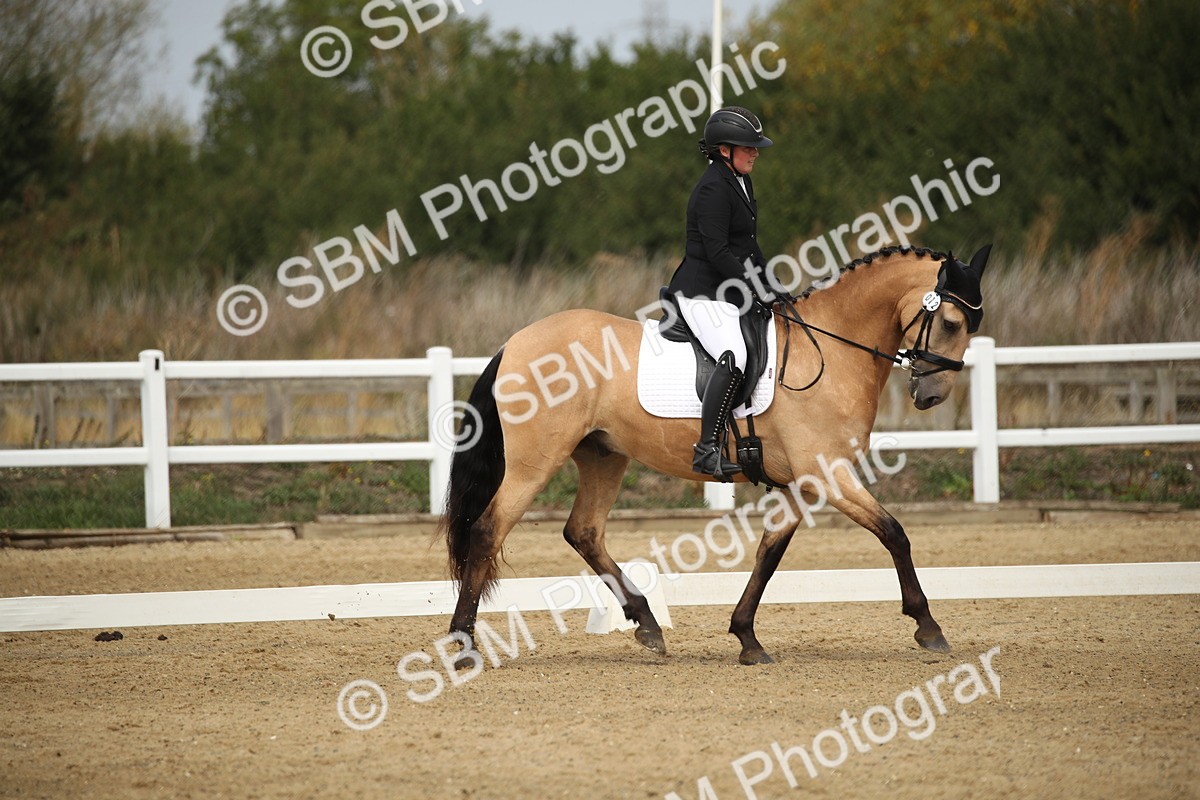 SBM_001209