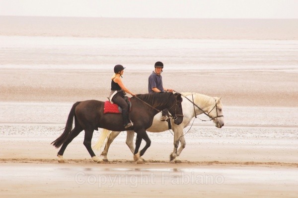 Life On A Beach - General Photography