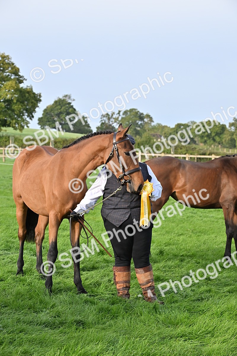SBM_55403 - S44 - Youngstock In Hand
