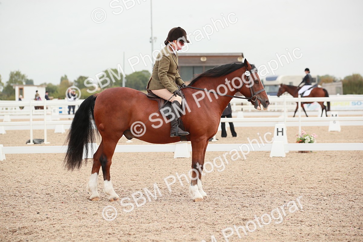 SBM_00825 - Class 30 - Intro 1