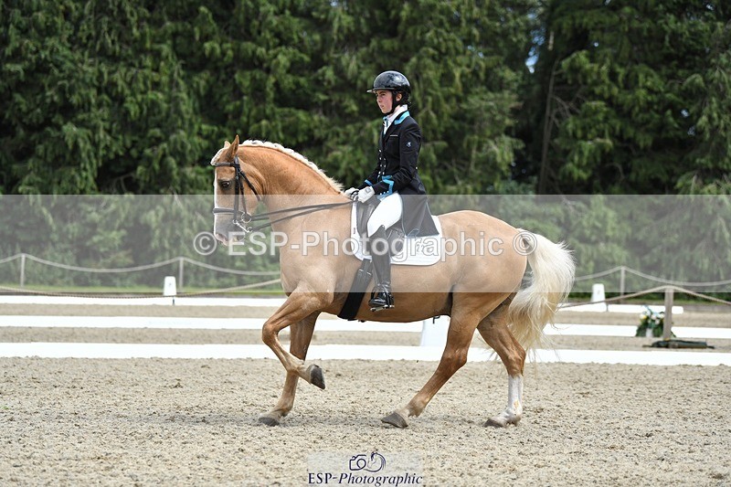 230812-142224-04679 - Cls 7 FEI PSG Bronze