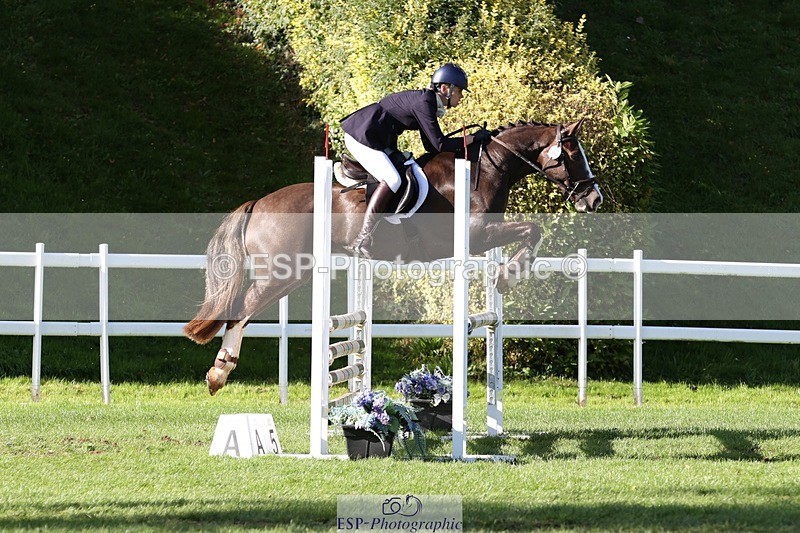 231022-143519-28223 - 440-LODOR.CARL-Katie.Mathias-TrotUp+SJ