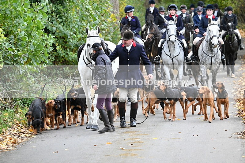 WJ7_7175 - Walk Home..