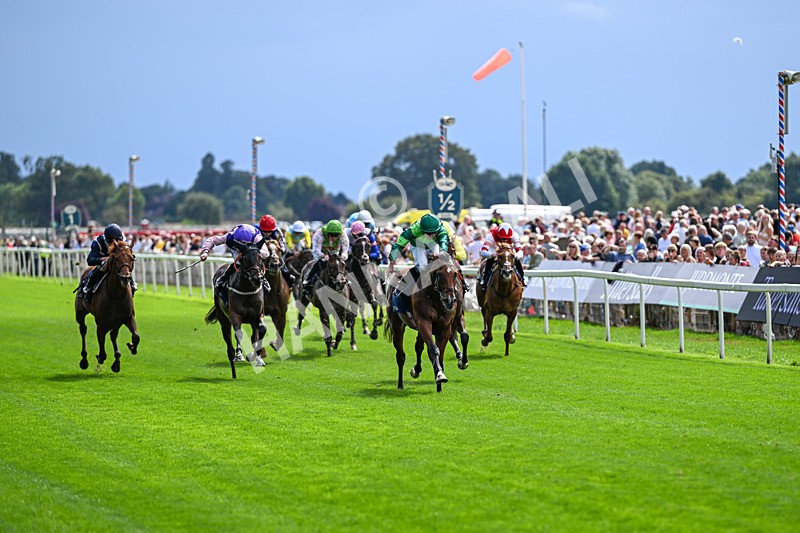 190826-Race 2-Haffner-0757 - Race 2 14.25pm Tattersalls Acomb Stakes