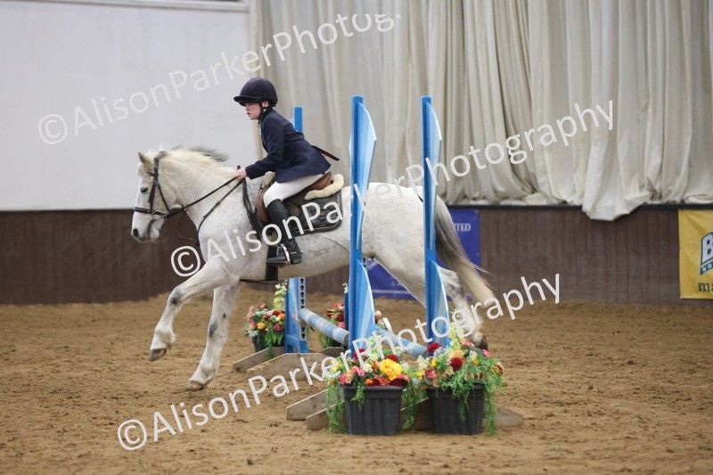 20260314-0519 - 60cm