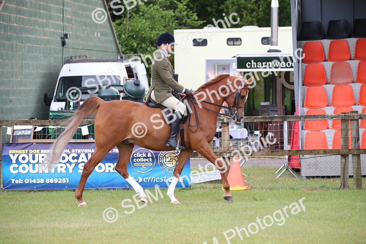 SBM_03602 - Class 21 - 22 - Ridden Arab and Part Bred/Anglo Arab