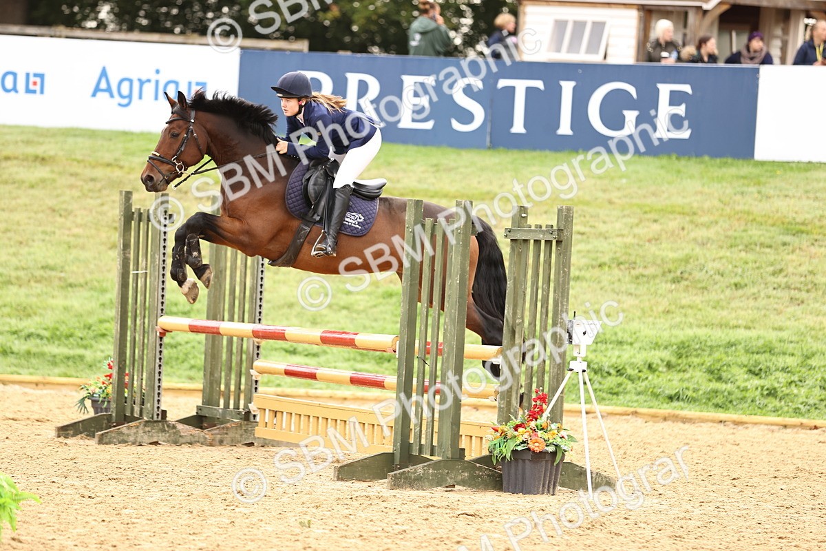 SBM_58499 - J41 - Grand Tour Horse & Pony 95cm