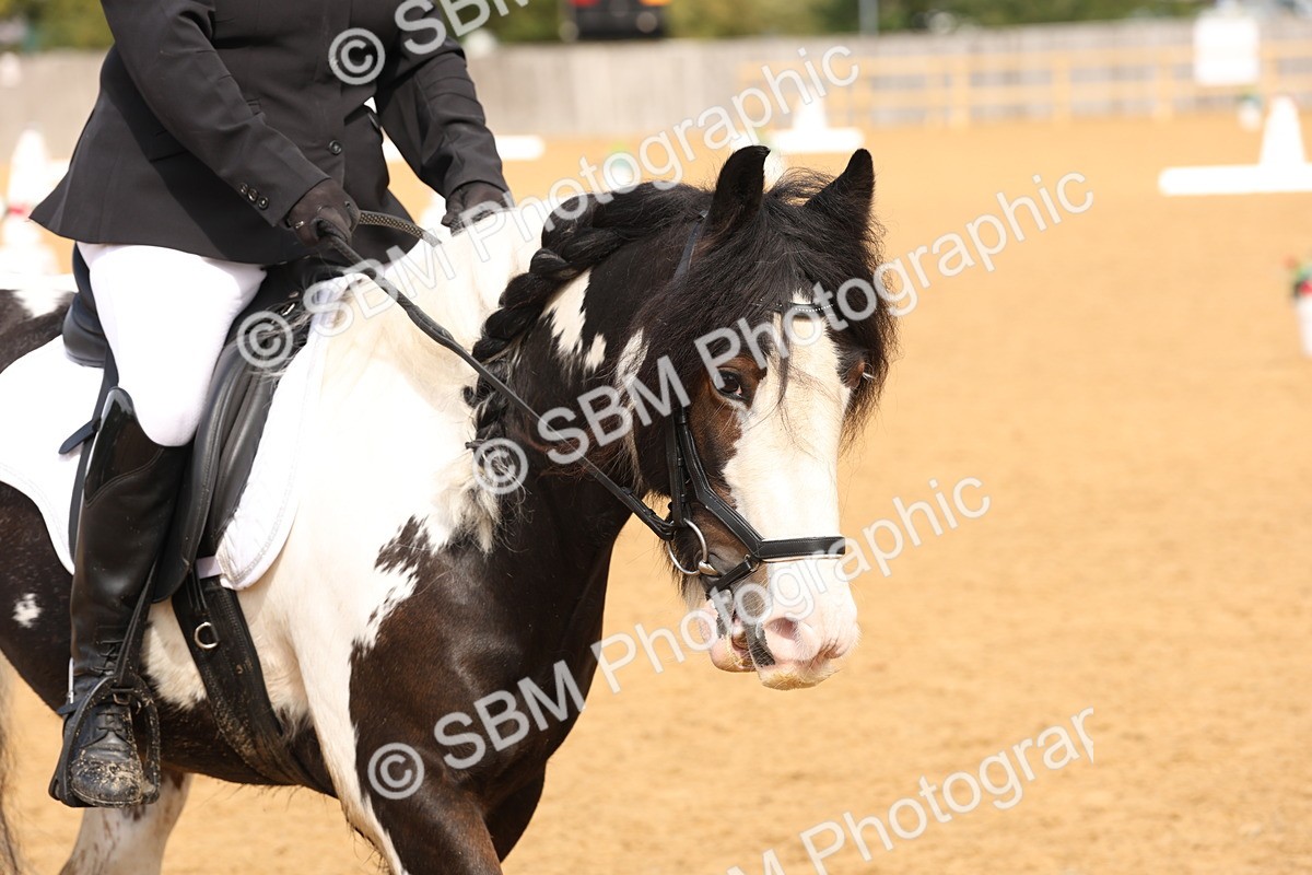 SBM_40690 - D6 - Small Tour Championship Intro 4