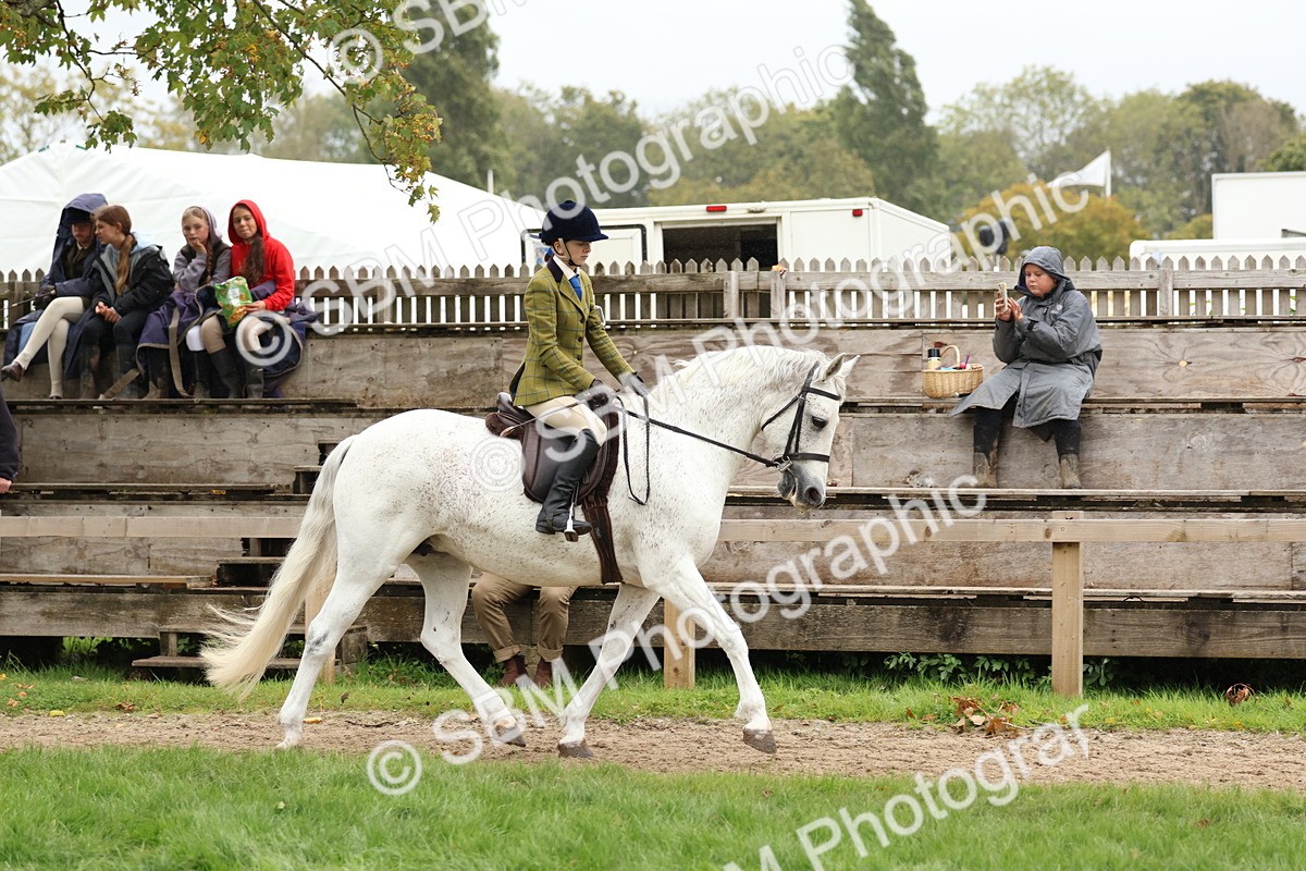 SBM_69568 - S62 - Mountain & Moorland Ridden Large Breeds