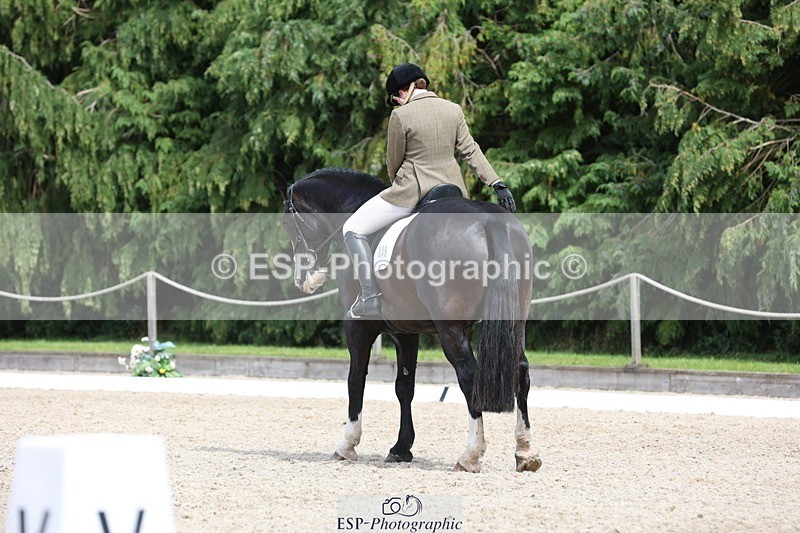 230812-134444-04304 - Cls 5 Novice Bronze 13.40 to 14.45 break