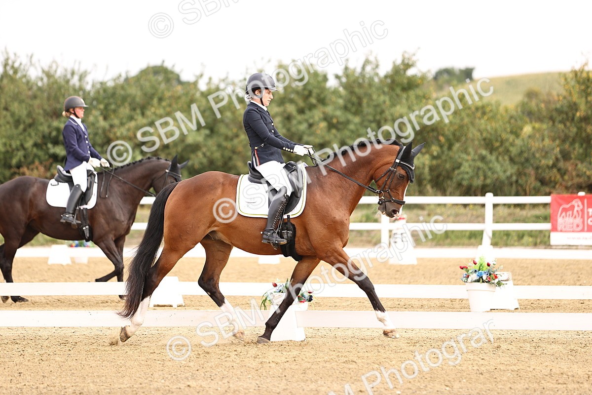 SBM_011668 - Class 1 - Medium 5