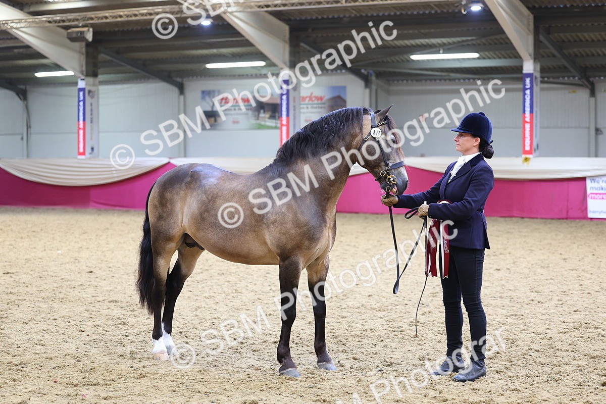 SBM_23024 - Class 903 - Supreme Final - IH Pre Vet