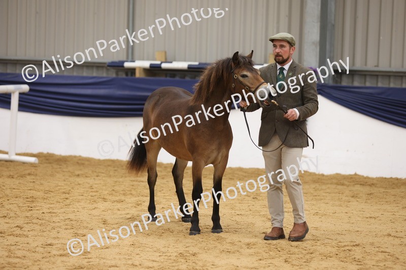 20260913-1280 - Class 113 - Yearling