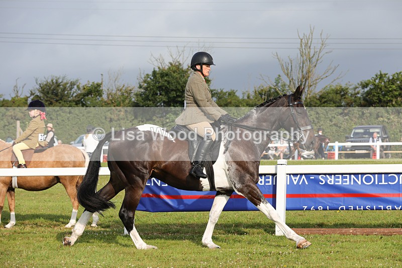 1X9A2850 - Class 25: Ridden Plaited Coloured Horse