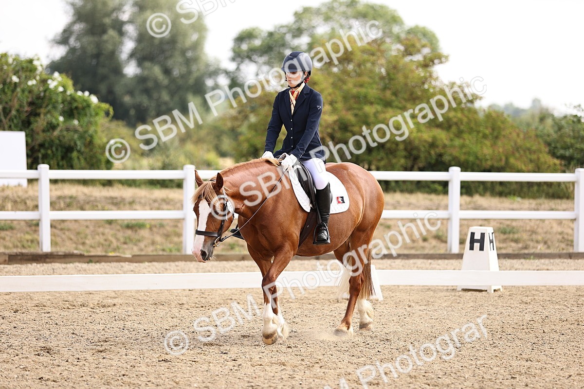 SBM_006475 - Intro 3 - 9.46-10.46