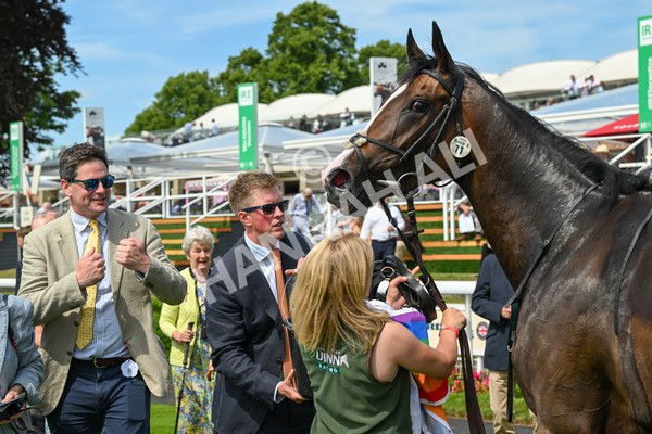 130625-Race 3-Easy Peeler-9153 - Race 3 3.00pm British EBF Supporting Racing With Pride Fillies' Handicap
