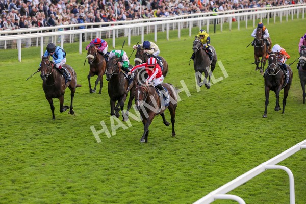 230824-Race 4-Bradsell-8407 - Race 4 3.35pm Coolmore Wootton Bassett Nunthorpe Stakes