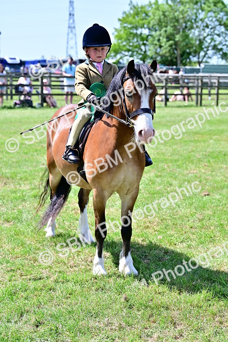 SBM_06131 - Class 59-60 - TSR M&M  Lear Rein and First Ridden Amateur of the year